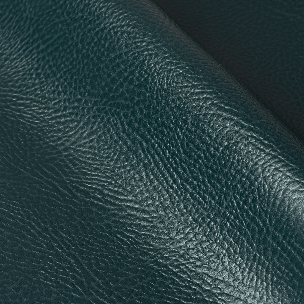 Home Favini Casting Release